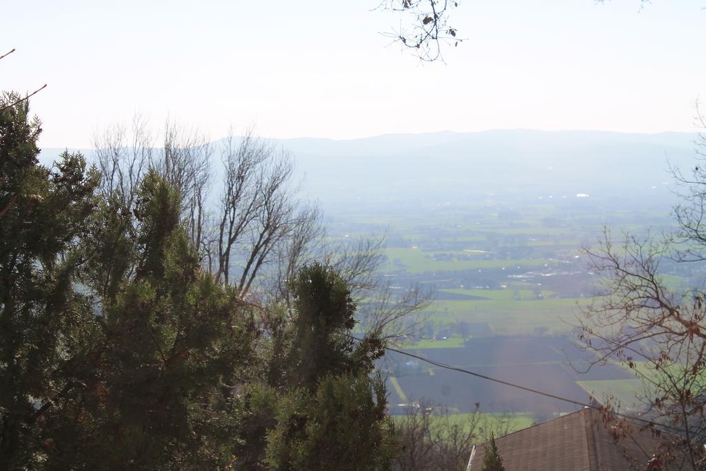 Sogni D'Assisi Bed & Breakfast エクステリア 写真